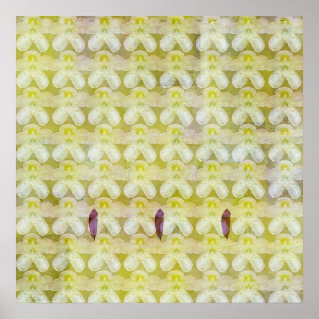 Póster Rhododendron Max (Frente)