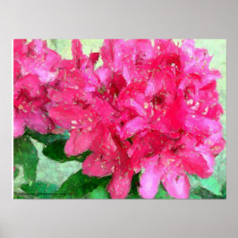 Póster Rhododendron Rosado Caliente Crackact Resumen