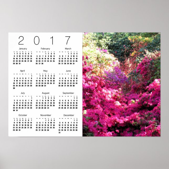 Póster Rhododendron White Calendar Poster 2017 (Frente)