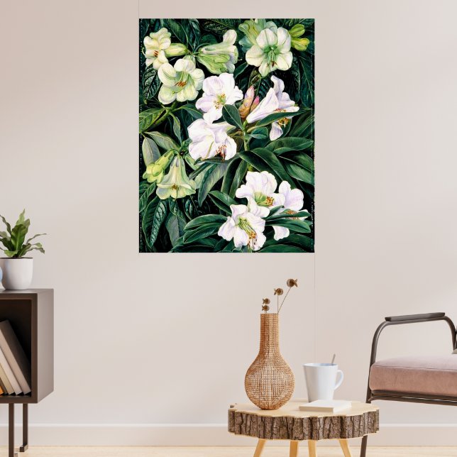Póster Rhododendrons del norte de la India (Salón 3)