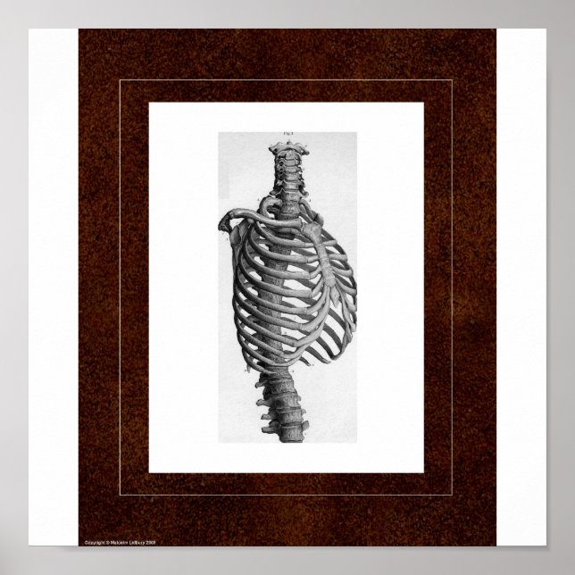 Póster Rib Spirit House (Frente)