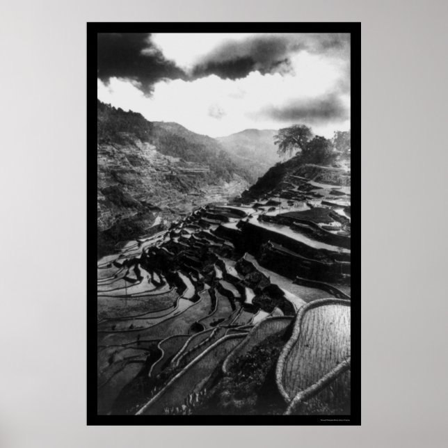 Póster Rice Terrace Philippines 1898 (Frente)