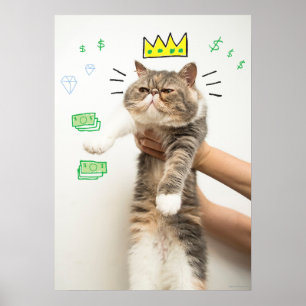 Póster Rich King Cat