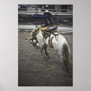 Póster Ride 'Em Cowboy fine art print