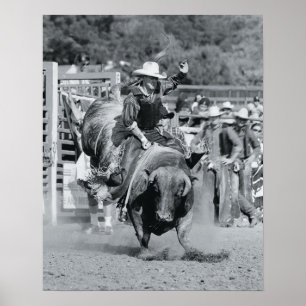 Póster Rider hanging on to bucking bull