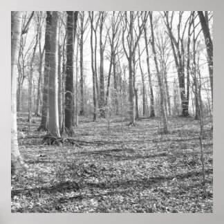 Póster Ridley Creek State Park