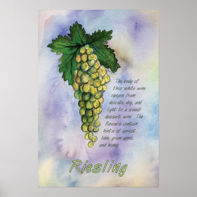 Póster Riesling White Wine Grapes Art Print (Frente)