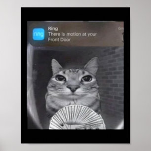 Póster Ring Cat Con Motion Meme