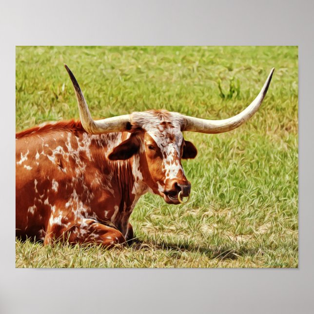 Póster Ring Nose Texas Longhorn Cow PhotoArt (Frente)