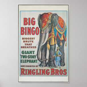 Póster Ringing Bros Big Bingo el elefante Poster del circ