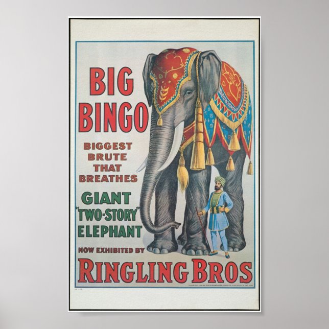 Póster Ringing Bros Big Bingo el elefante Poster del circ (Frente)