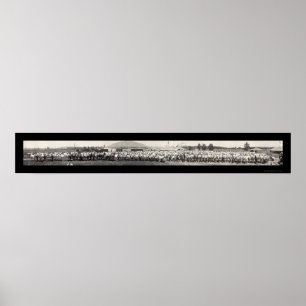 Póster Ringling Bros Horses Photo 1914