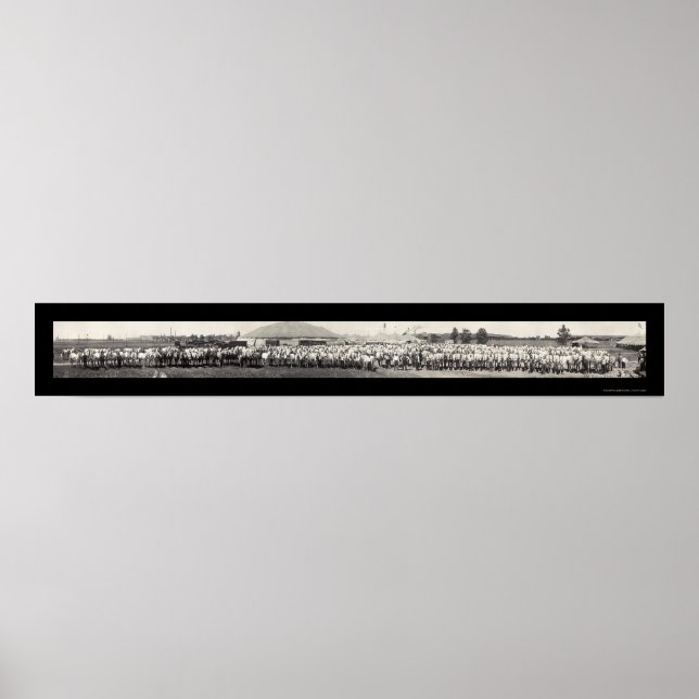 Póster Ringling Bros Horses Photo 1914 (Frente)