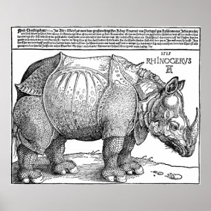Póster Rinoceronte de Albrecht Durer Poster