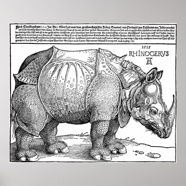 Póster Rinoceronte de Albrecht Durer Poster (Frente)