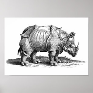 Póster Rinoceronte vintage - Rinocerontes de Dürer