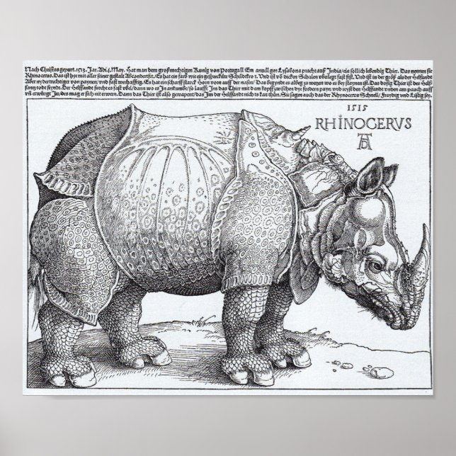 Póster Rinocerontes de Dürer (Frente)