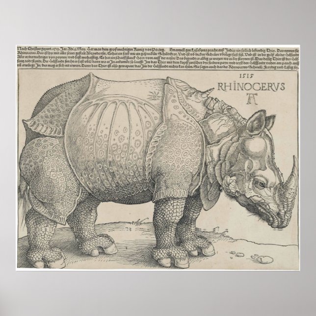 Póster Rinocerontes, Woodcut por Albrecht Durer (Frente)