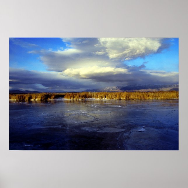 Póster Río Bear (Frente)