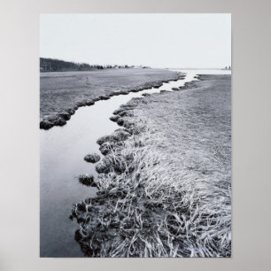 Póster Río cercano al bosque