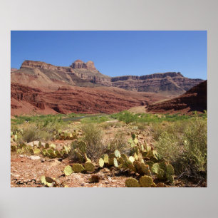 Póster Río Colorado en el Gran Cañón. Fotografía