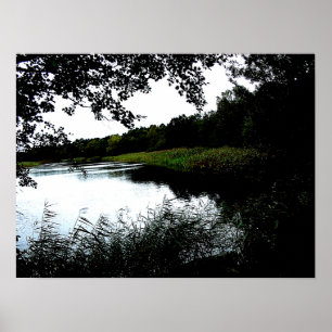 Póster Río con árboles y foto de junco