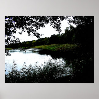 Póster Río con árboles y foto de junco