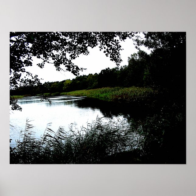 Póster Río con árboles y foto de junco (Frente)
