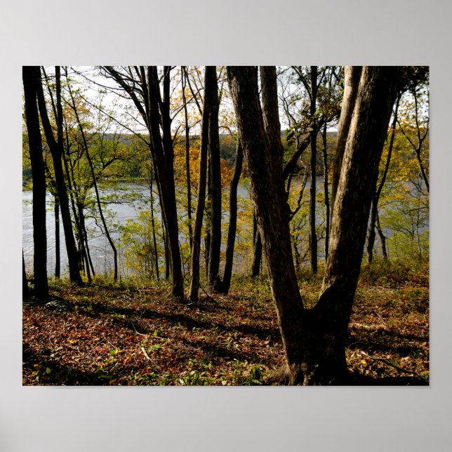 Póster Río Connecticut (Frente)