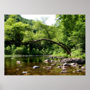 Póster Río de Greenbrier, WV