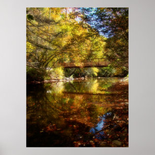 Póster Río de la Luz