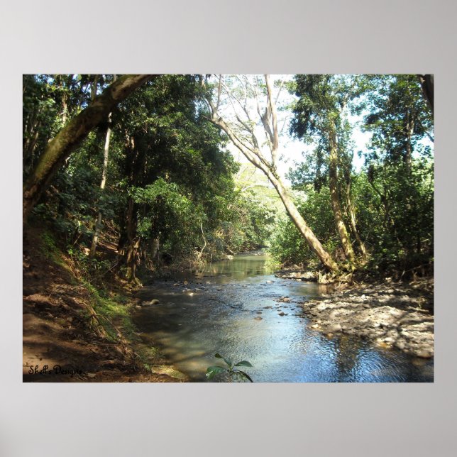Póster Río de Paz y Tranquilidad (Frente)