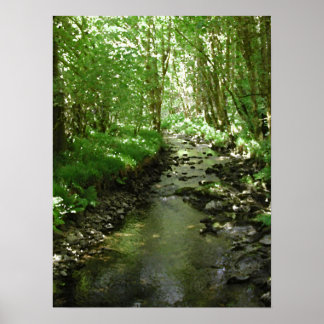 Póster Río fluyendo a través de bosques.