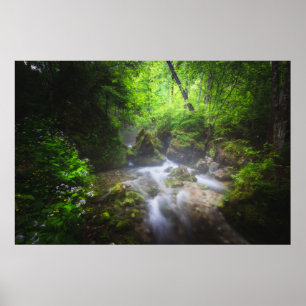 Póster Río fluyendo a través de un bosque verde encantado
