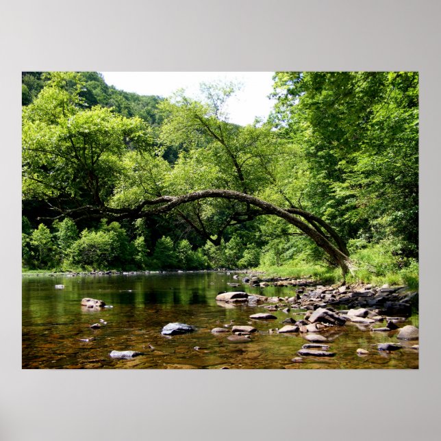 Póster Río Greenbrier, WV (Frente)