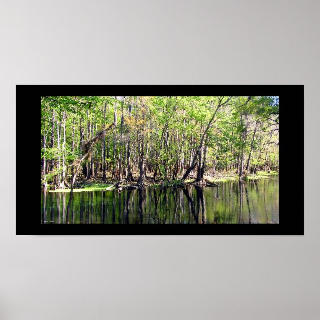 Póster Río Ichetucknee (Frente)