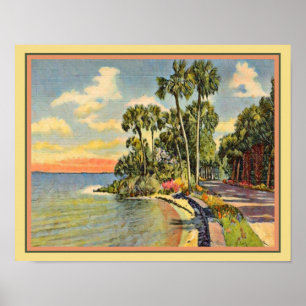 Póster Río Indio Florida Tropical