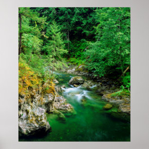 Póster Río Little Qualicum