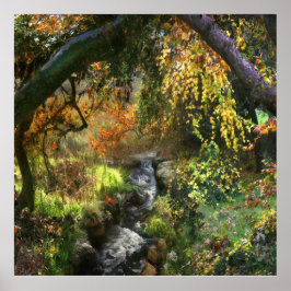 PÓSTER RÍO MEDIO DE BOSQUE PEQUEÑO