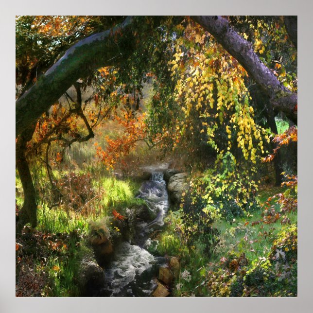 PÓSTER RÍO MEDIO DE BOSQUE PEQUEÑO (Frente)