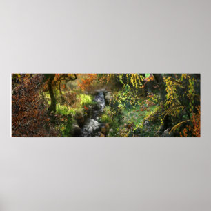 PÓSTER RÍO MEDIO DE BOSQUE PEQUEÑO