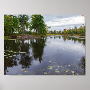 Póster río missisquoi a través de refugio de vida silvest