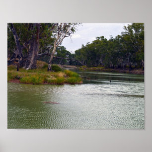 Póster Río Murray Australia la curva, Poster