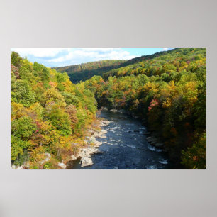 Póster Río Ohiopyle en otoño en Pensilvania