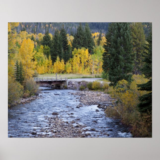 Póster Río Provo y árboles de álamo temblón (Frente)
