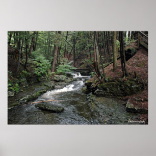Póster Río Raymondskill en la huella de Poconos 040