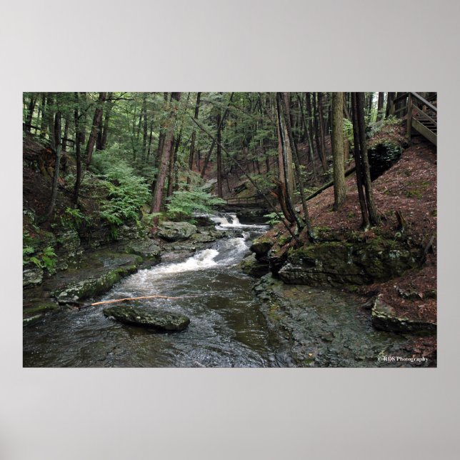 Póster Río Raymondskill en la huella de Poconos 040 (Frente)