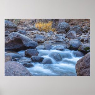 Póster Río rocoso fluyente