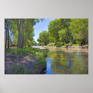 Póster Río San Pedro cerca de Fairbank