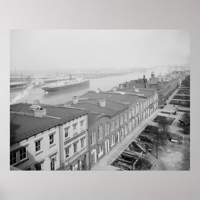 Póster Río Savannah (Frente)